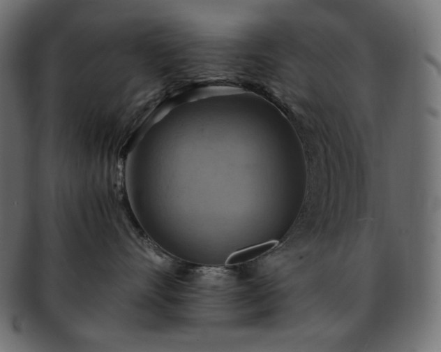 X0000093240528200710031604