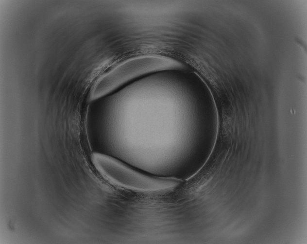 X0000093240530200710031604
