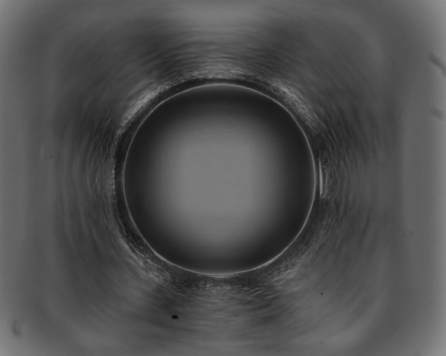 X0000093240531200710031604