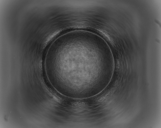 X0000093240535200710031604