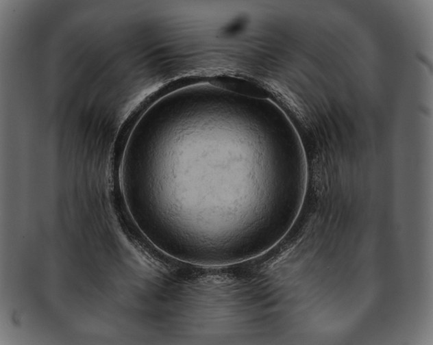 X0000093240536200710031604