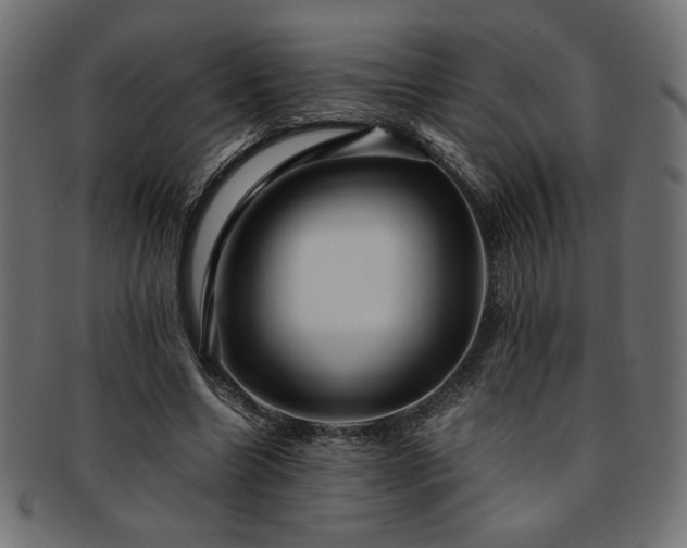 X0000093240538200710031604