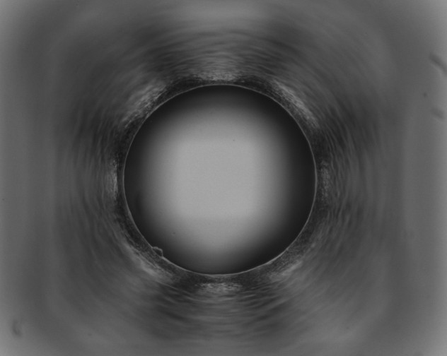 X0000093240541200710031604