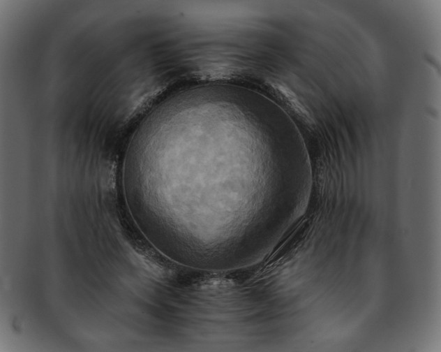X0000093240543200710031604