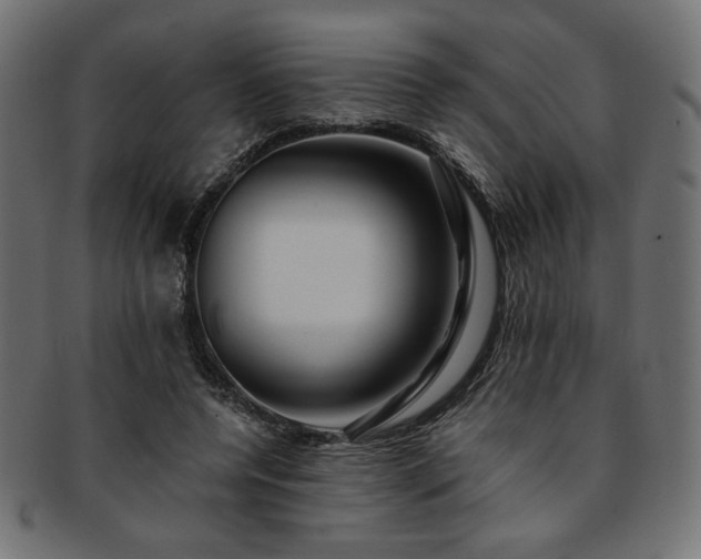 X0000093240544200710031604