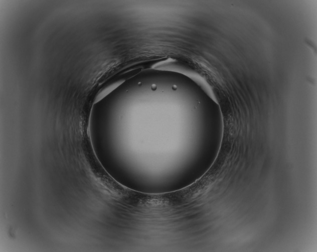X0000093240546200710031604