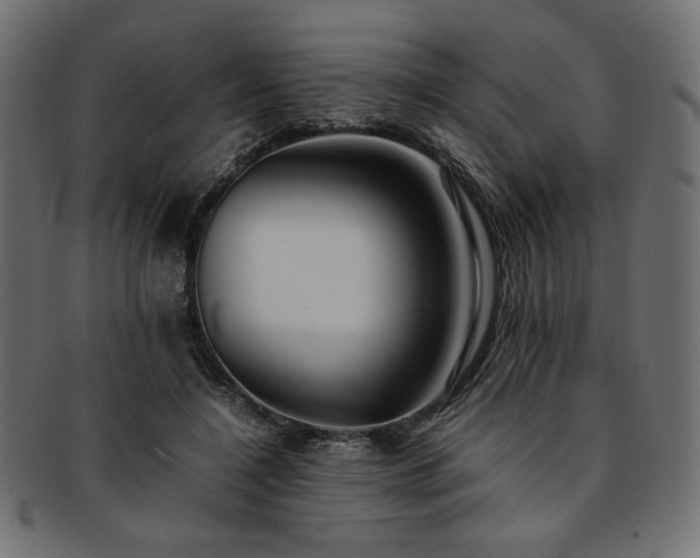 X0000093240548200710031604