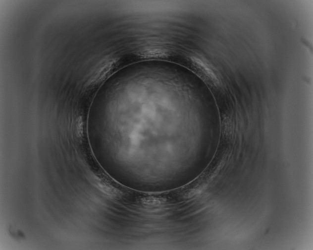 X0000093240549200710031604