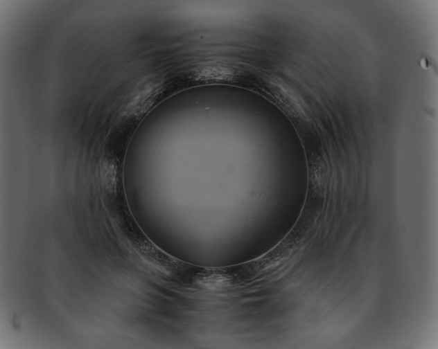 X0000093240551200710031604