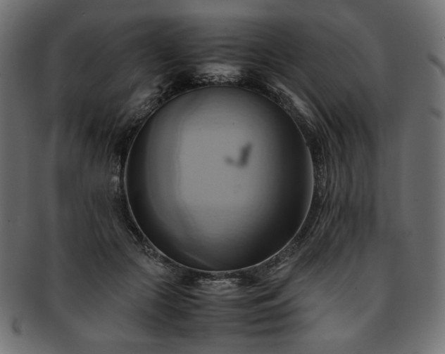 X0000093240553200710031604