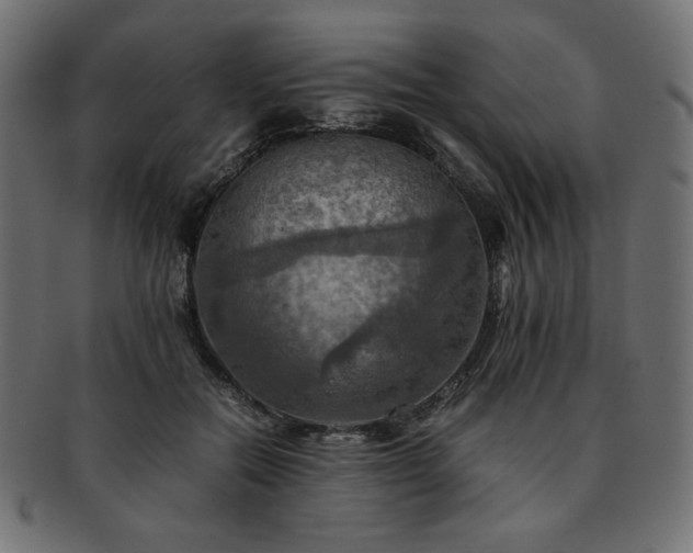X0000093240554200710031604