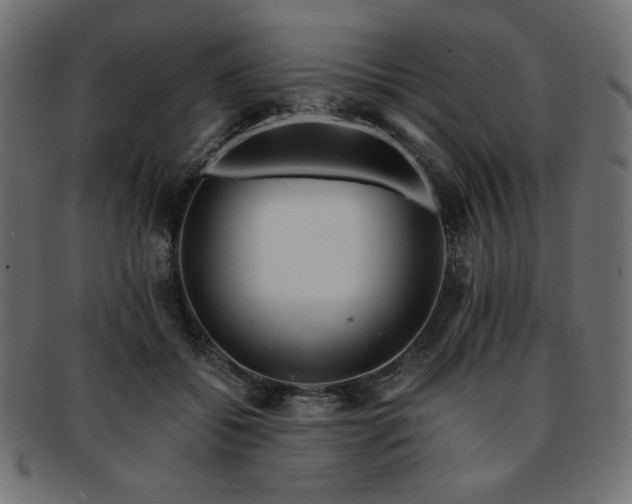 X0000093240556200710031604