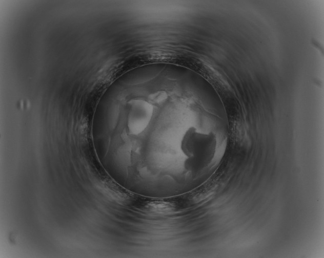 X0000093240557200710031604