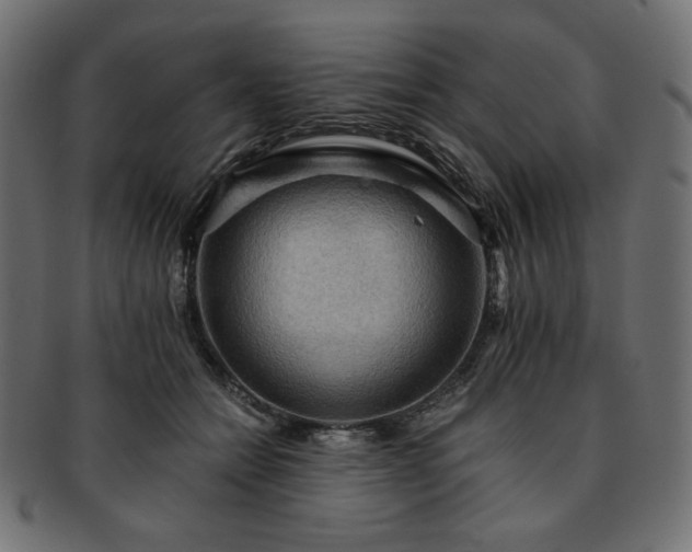 X0000093240558200710031604