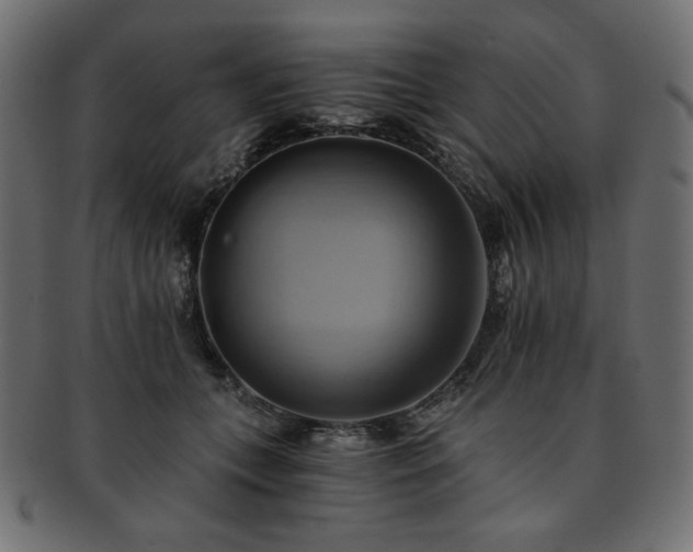 X0000093240559200710031604