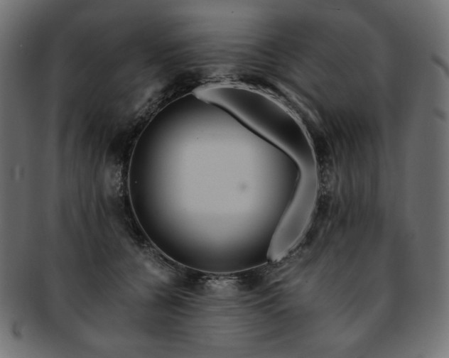 X0000093240560200710031604