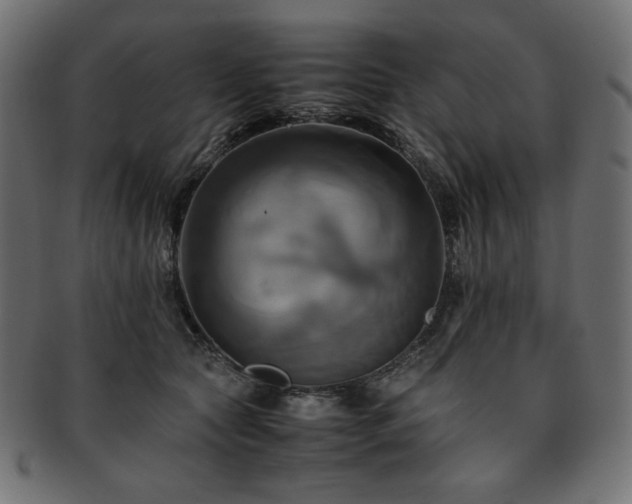 X0000093240561200710031604