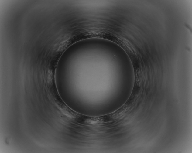 X0000093240563200710031604
