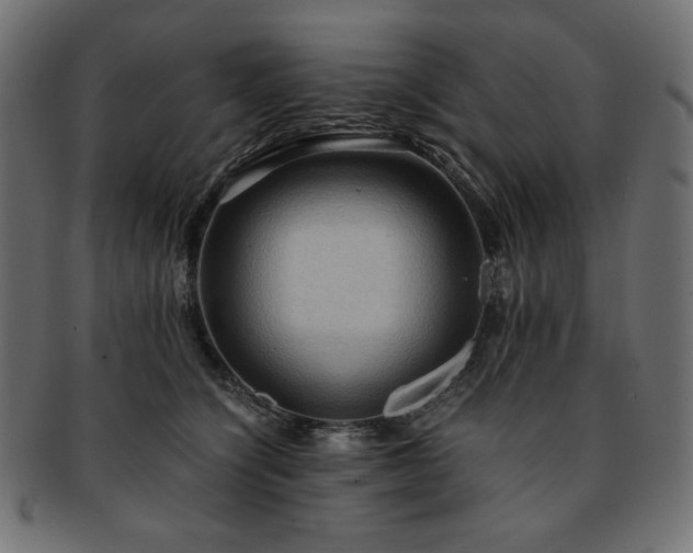 X0000093240564200710031604
