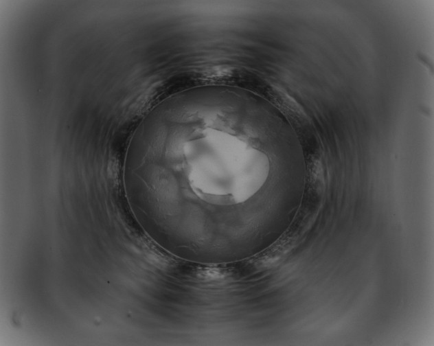 X0000093240565200710031604
