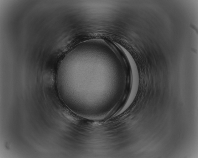 X0000093240566200710031604