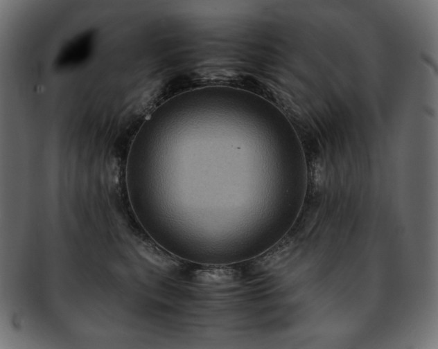 X0000093240567200710031604