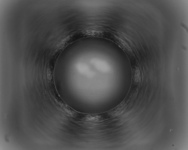 X0000093240569200710031604