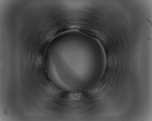 X0000093240571200710031604