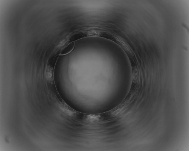 X0000093240573200710031604