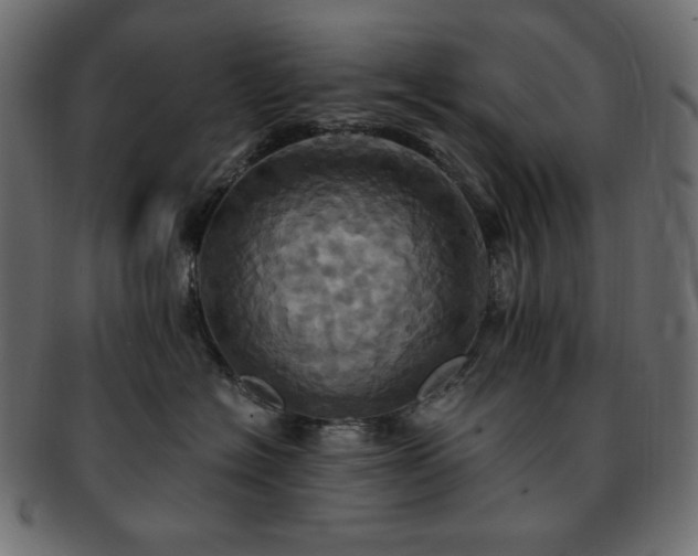 X0000093240574200710031604