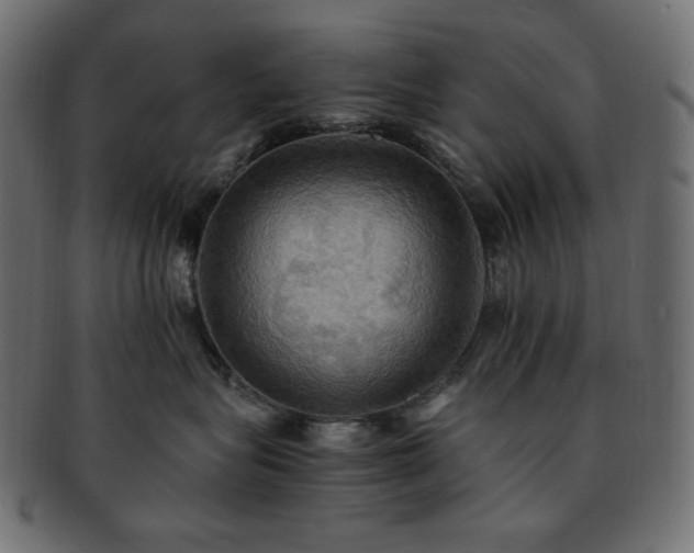X0000093240575200710031604