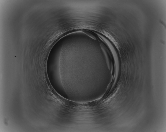 X0000093240577200710031604