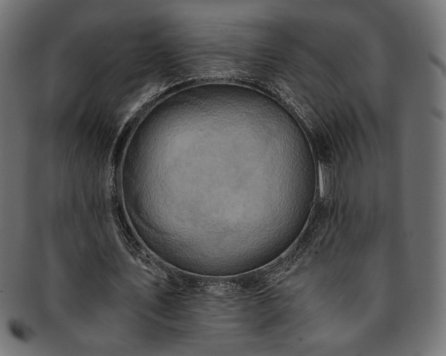 X0000093240579200710031604