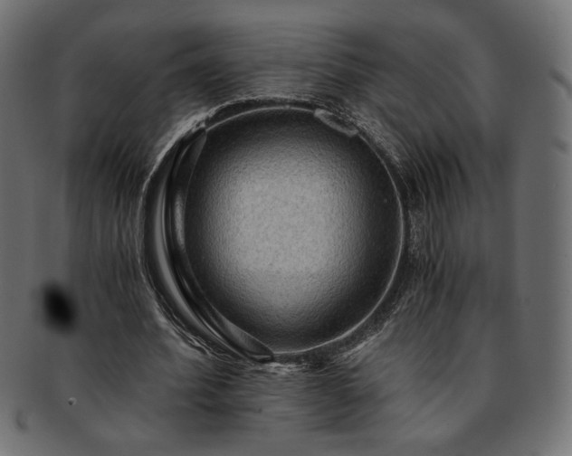 X0000093240580200710031604