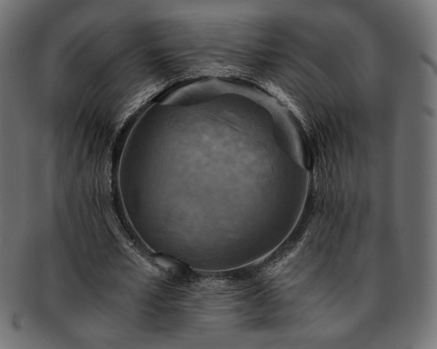 X0000093240581200710031604