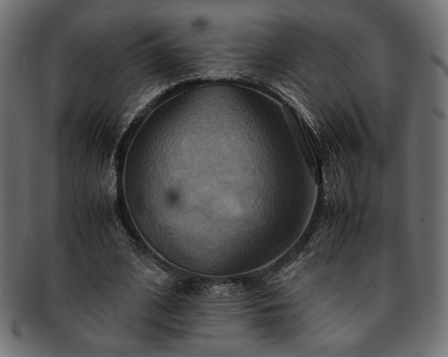 X0000093240584200710031604