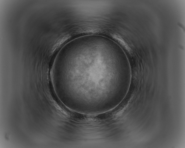 X0000093240585200710031604