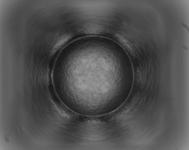 X0000093240586200710031604