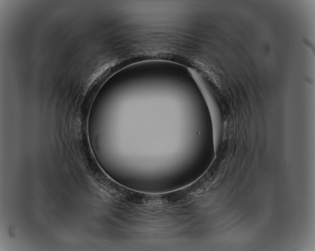 X0000093240587200710031604