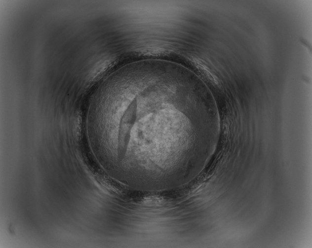 X0000093240591200710031604