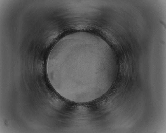 X0000093240592200710031603
