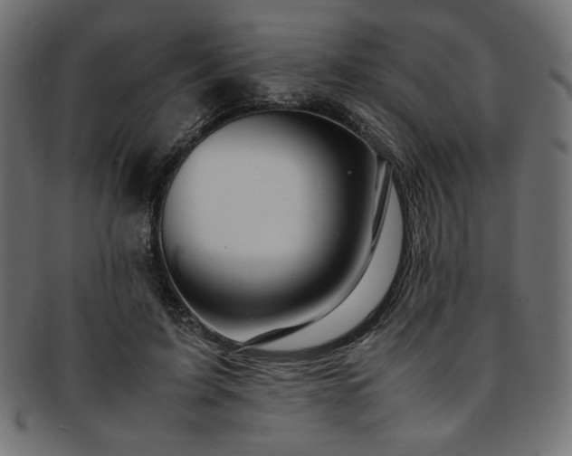 X0000093240595200710031603