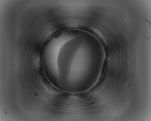 X0000093240596200710031603