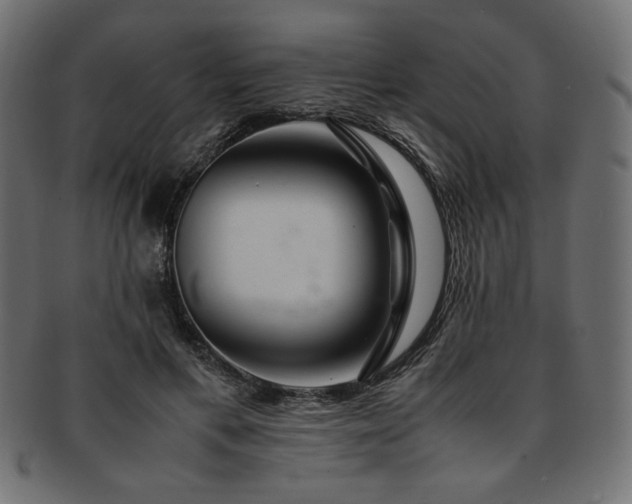 X0000093240597200710031603