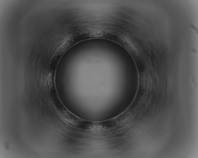 X0000093240598200710031603