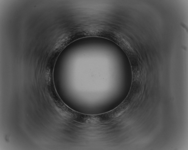 X0000093240599200710031603
