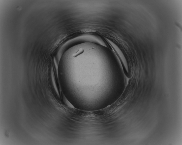 X0000093240600200710031603