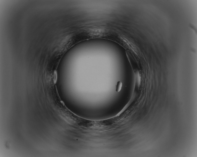 X0000093240601200710031603