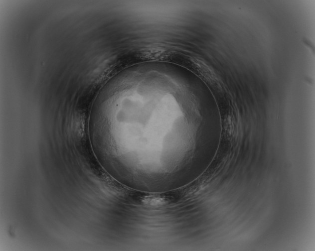 X0000093240602200710031603