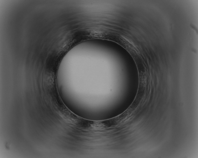 X0000093240603200710031603